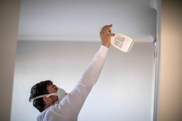Best Residential Mold Remediation in Norcross, GA