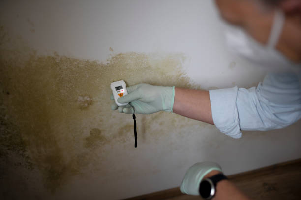 Best Crawl Space Mold Remediation in Norcross, GA