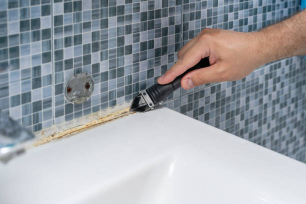 Best Preventive Mold Services in Norcross, GA